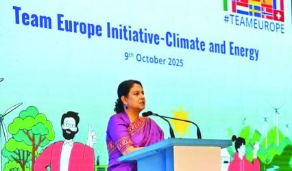 \'Bangladesh has to achieve 30pc renewable energy target by 2030\'