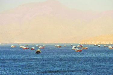 \'European countries in talks with Tehran for Hormuz transit\'