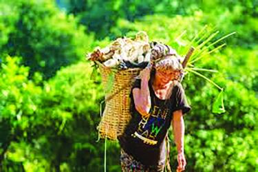 The Myth of Forced Migration from CHT