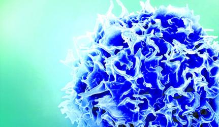 A new approach to cancer vaccination yields more powerful T cells