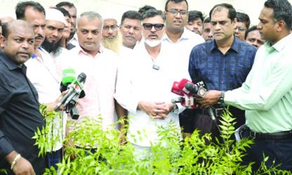 Tree plantation program inaugurated in DNCC